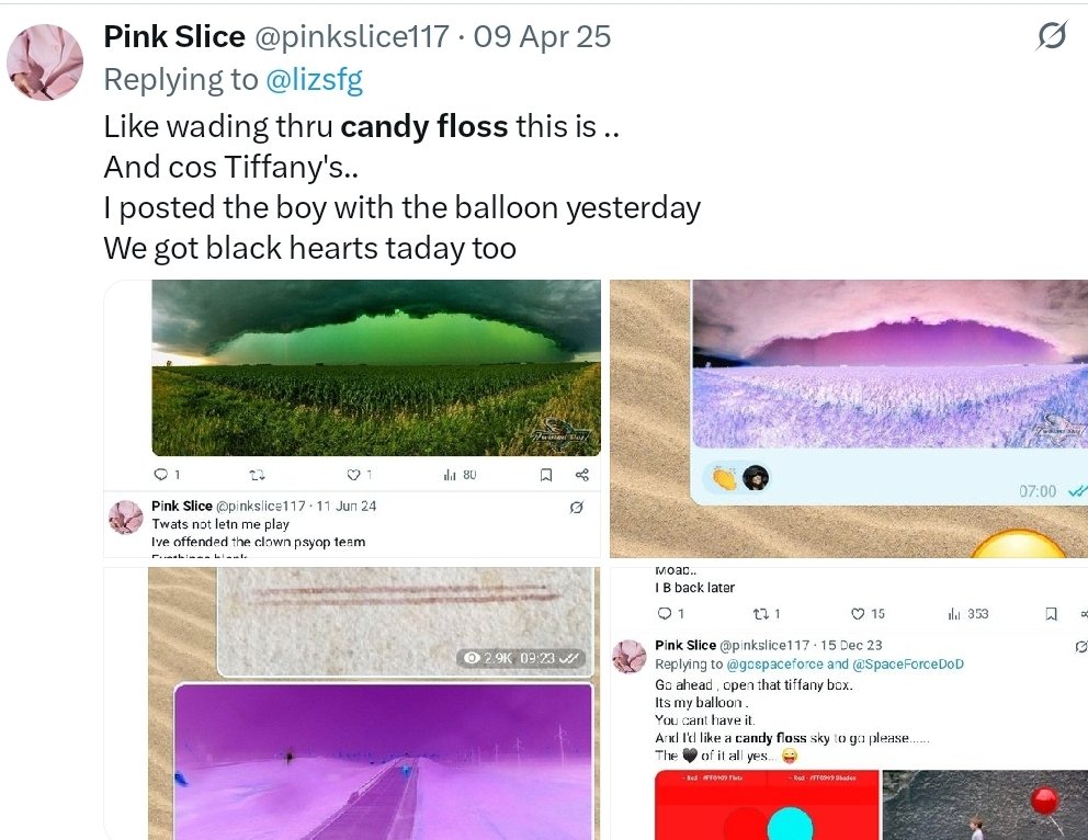 Pink Slice tweet media