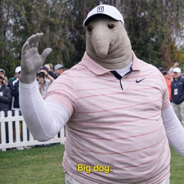 SouthtownStacker tweet media