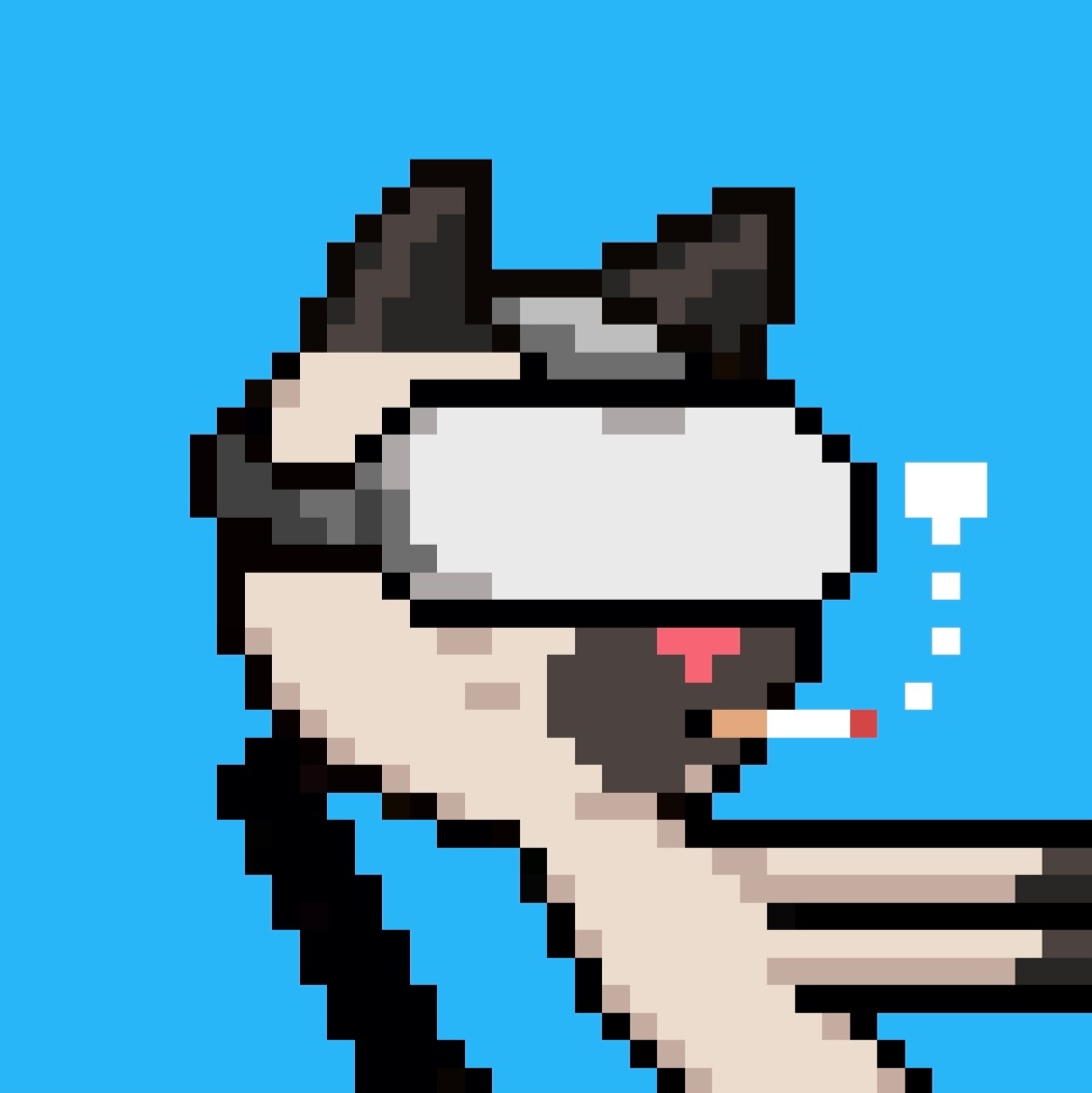 𝖯𝖺𝗋𝗂𝗌𝗂𝗂 tweet media