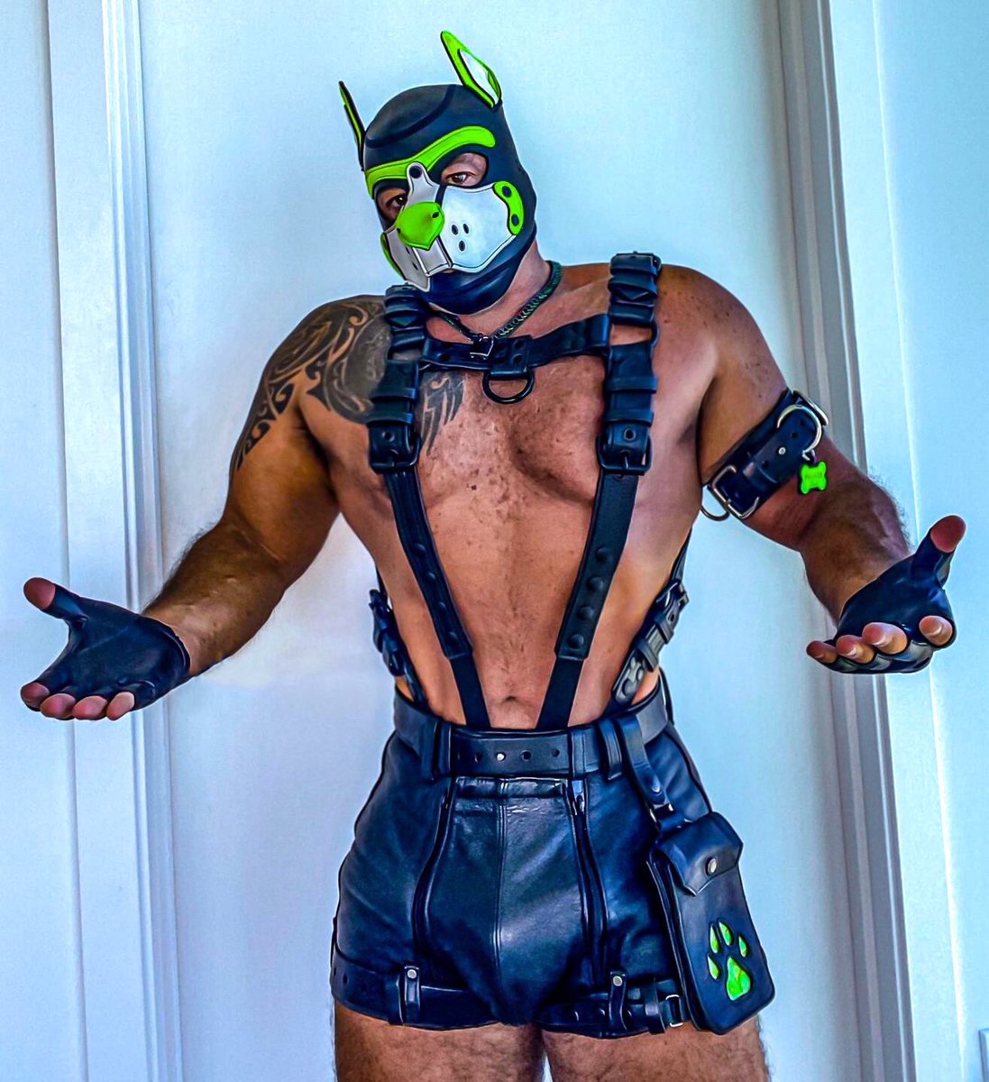 The Dog General tweet media