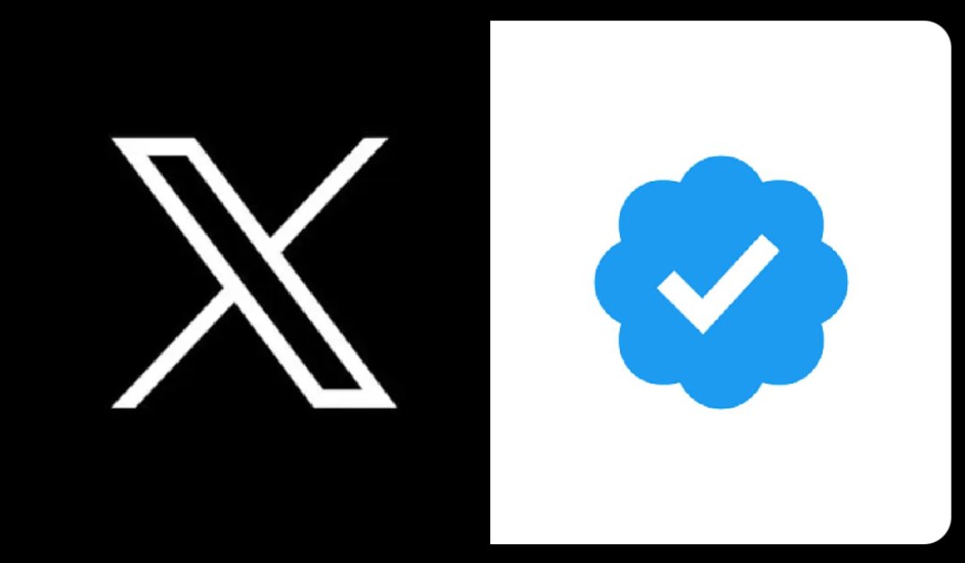 shaykslamova tweet media