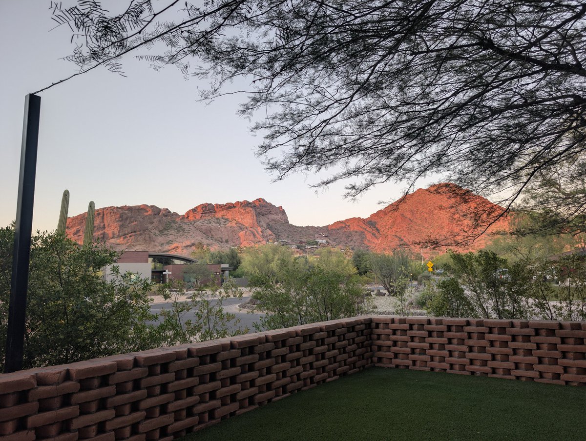 Hillary☮️ 🇺🇦 tweet media