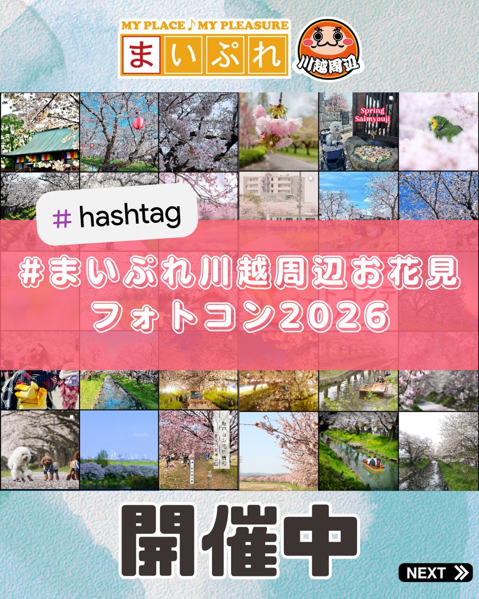 mypl_kawagoe's tweet photo. 🌸《お花見フォトコンテスト2026》本日より応募受付スタート！ 🌸＼川越周辺の“春の一枚”を大募集／
📸テーマは【川越周辺の #春 と #お花見 】
📍対象エリアは、川越市・坂戸市・鶴ヶ島市・ふじみ野市・富士見市・川島町 周辺
#まいぷれ川越周辺お花見フォトコン2026 https://t.co/lrwkRJhfCf