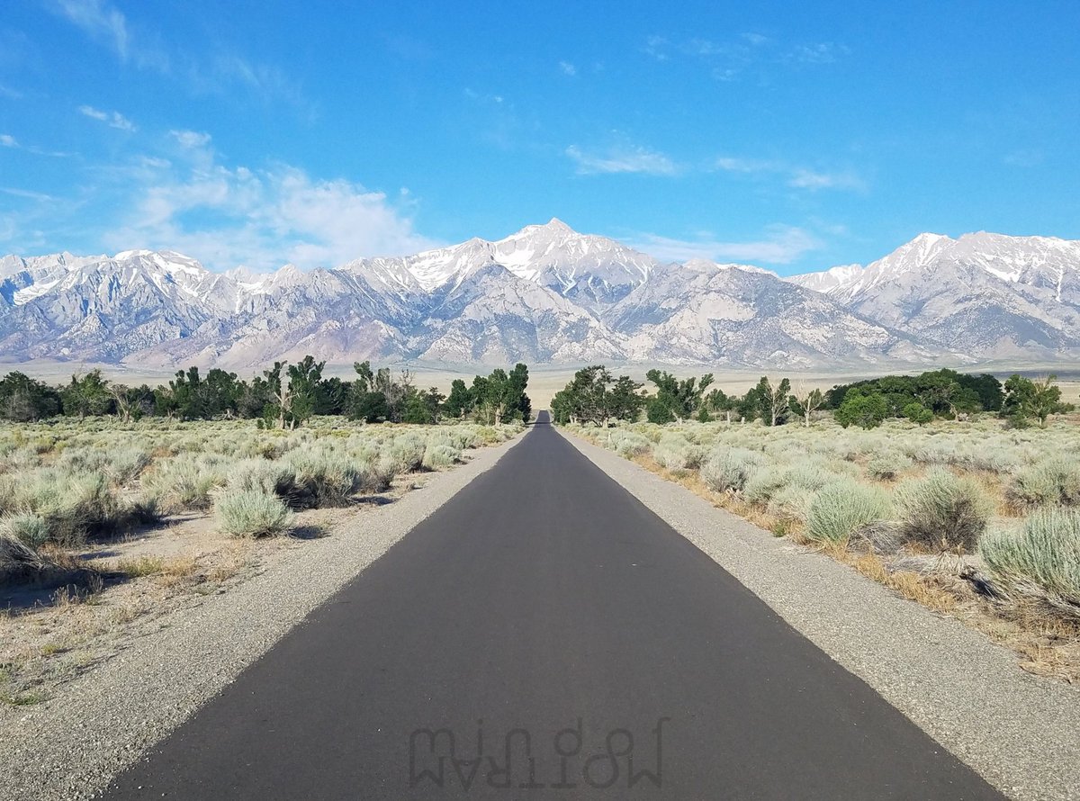 M O T T R A M tweet media