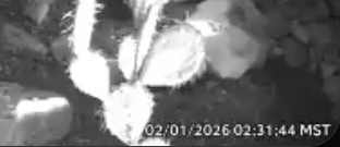 Capt KEVman!!! (GreyBeardAdventures) tweet media