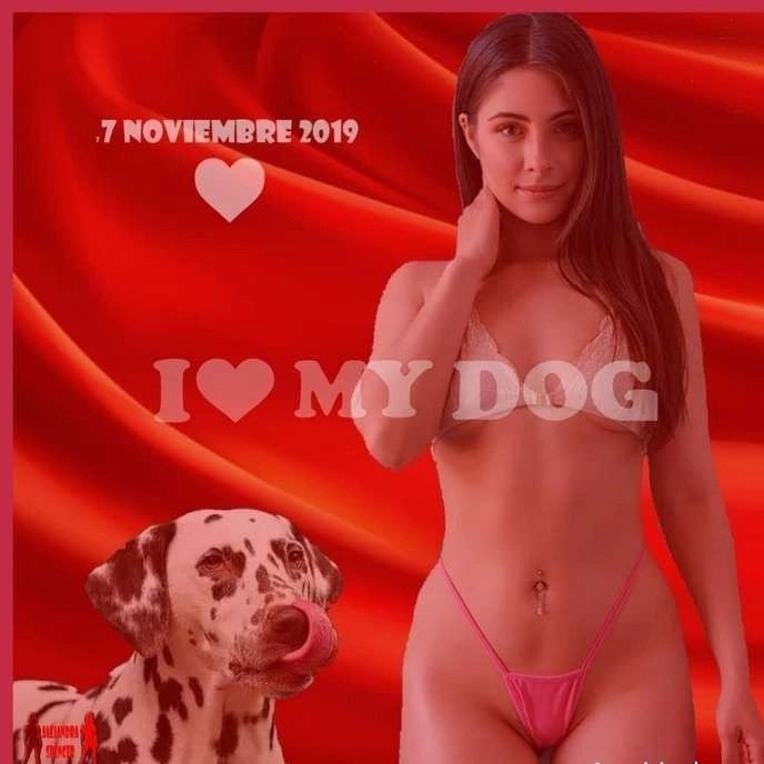 K9 ZOO TABOO tweet media