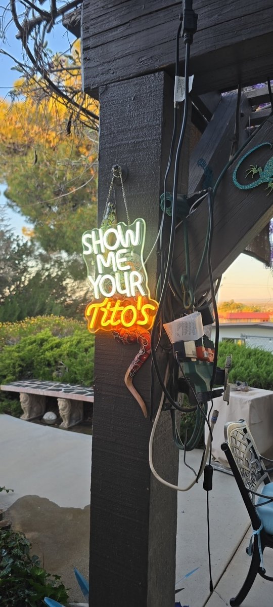 Doodles 🇺🇸 🐕 tweet media