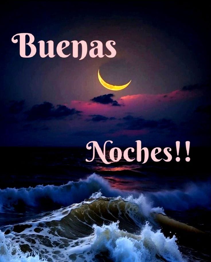 Nora Piña Ghazzaoui tweet media