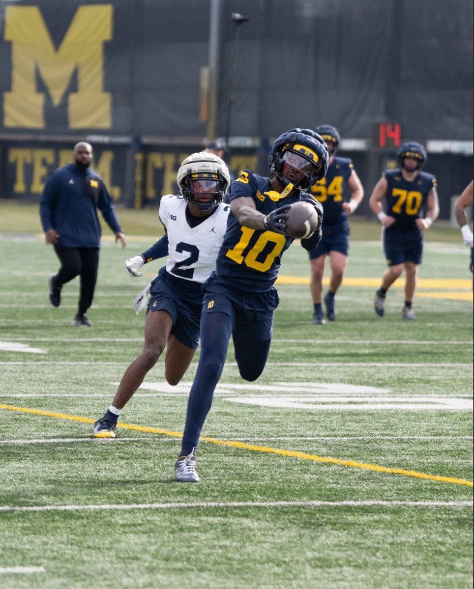 Maize Signal 〽️ tweet media