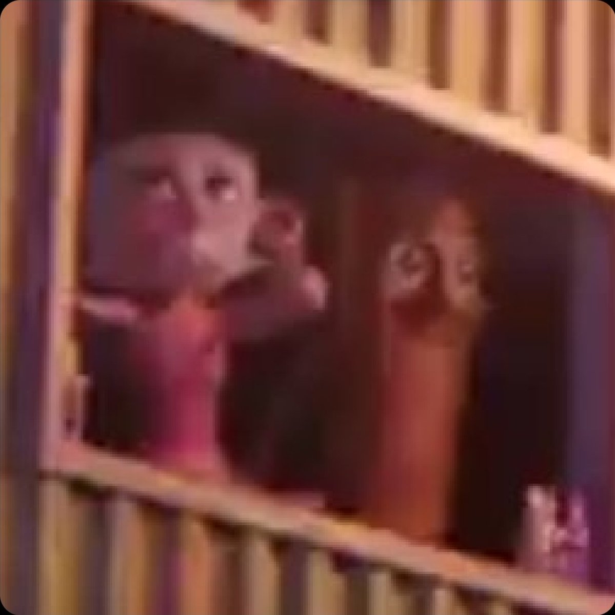 PanzerProtogen tweet media