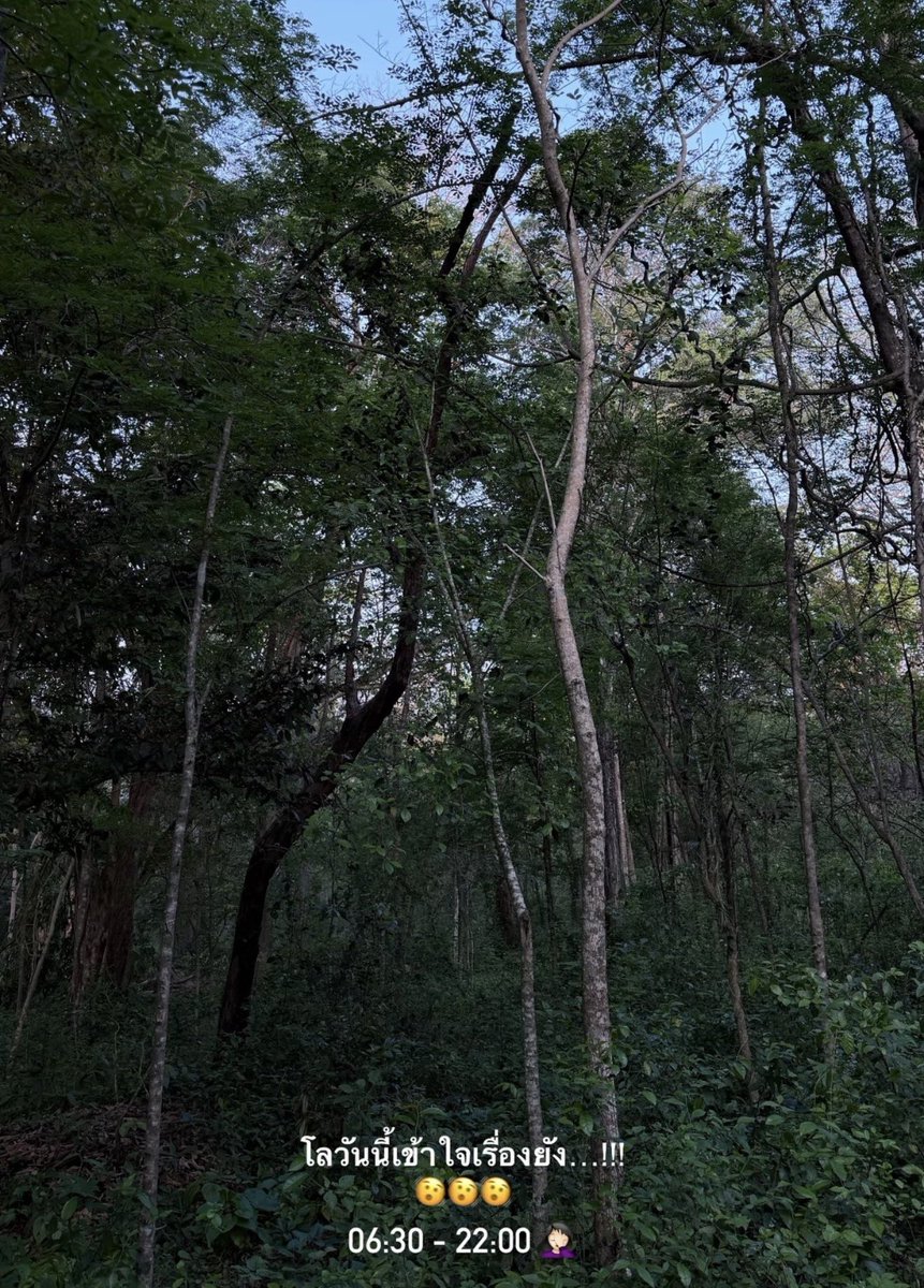 CENTRAL FREENBECKY BR 🇧🇷 tweet media