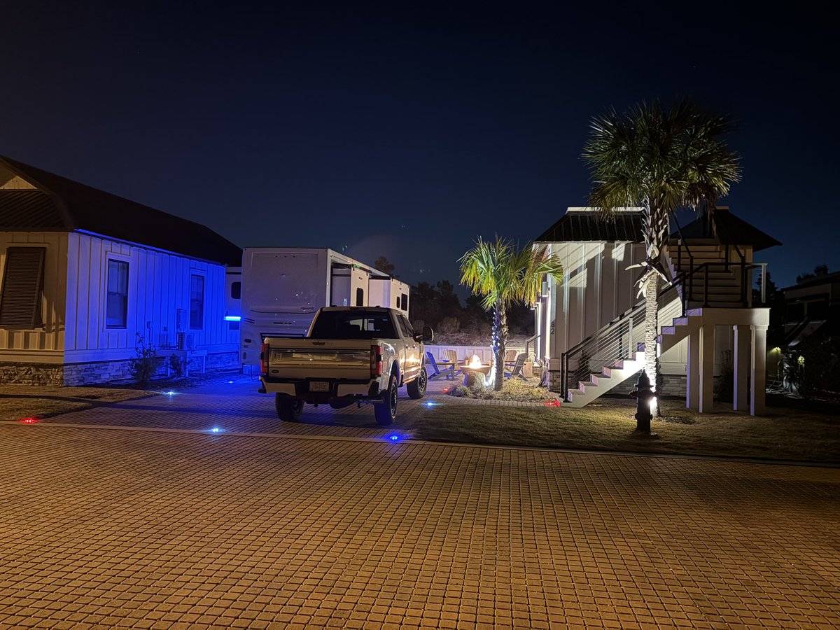 Paradise Mint tweet media