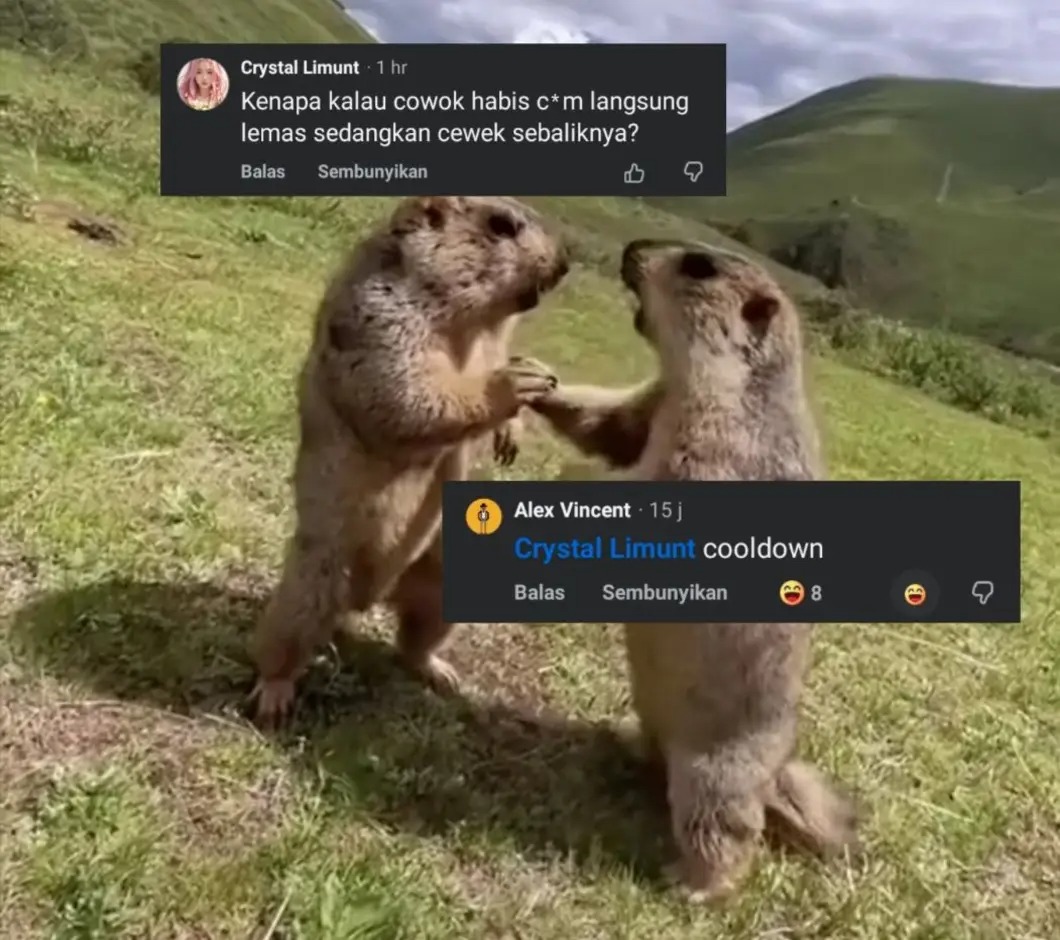 Memelord tweet media