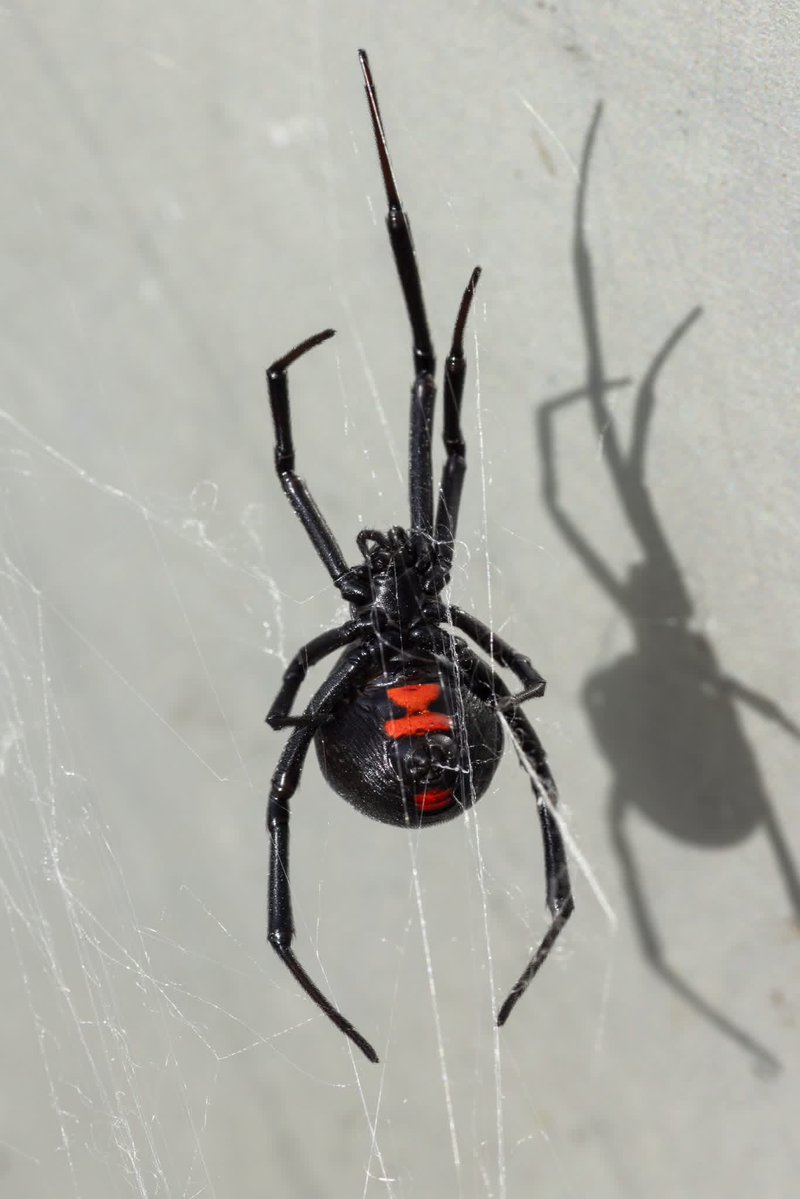 LD Basler tweet media