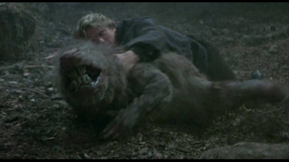 𝙁𝙪𝙧𝙞𝙤𝙪𝙨 tweet media