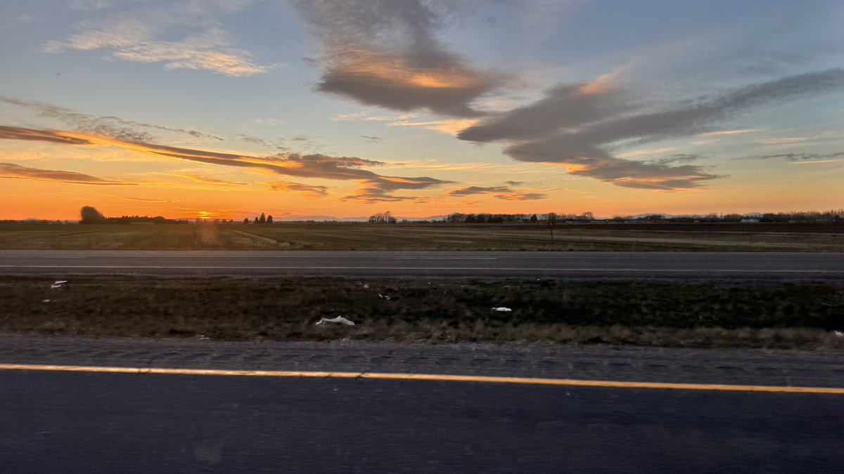 Pretty Lies & Alibis🎙 tweet media