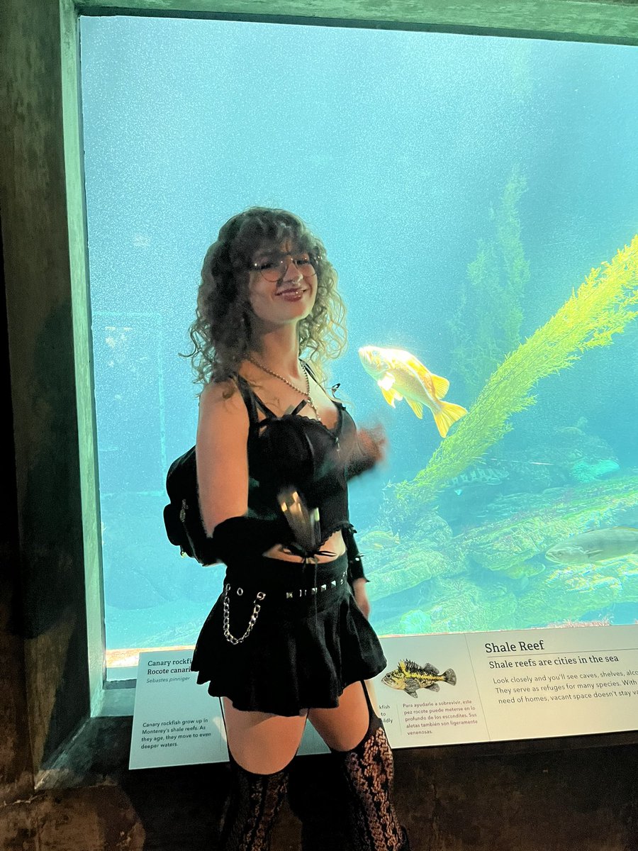 lesbianism (≧∇≦)★ #1 LESBYLER PREACHER 👩❤️💋👩 tweet media