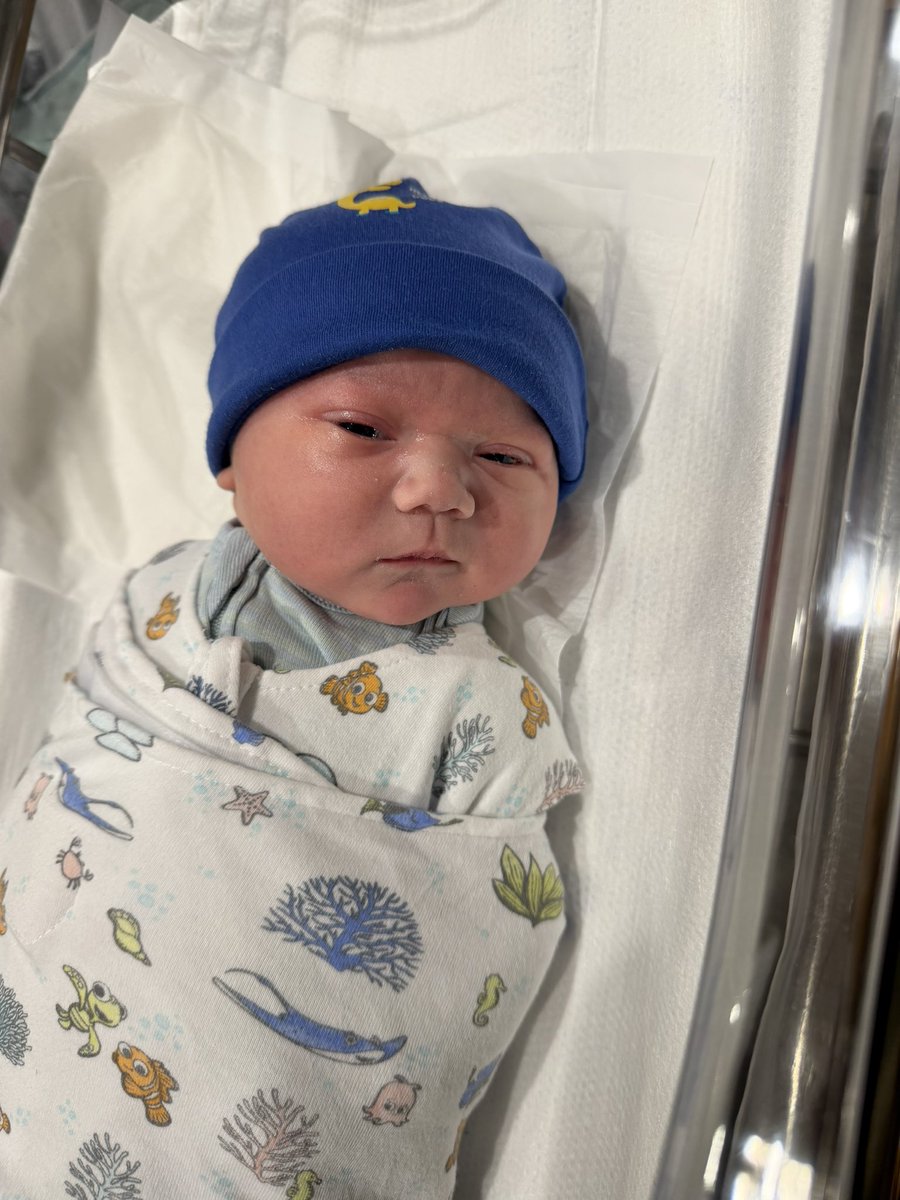 Bankai 🇪🇨🇵🇷 tweet media