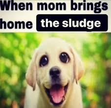 lyxus.mp4 (COMMS OPEN) tweet media