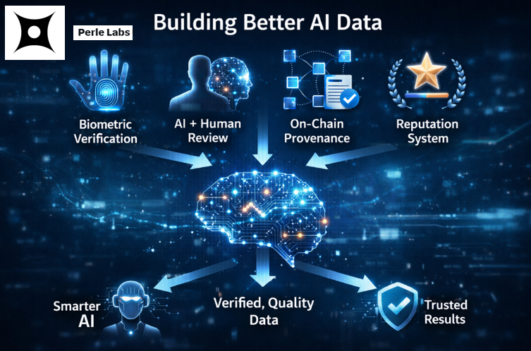 Mr.Jack 🐬TermMax tweet media