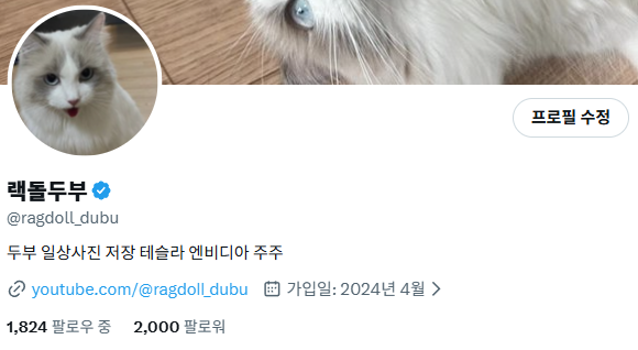 랙돌두부 tweet media