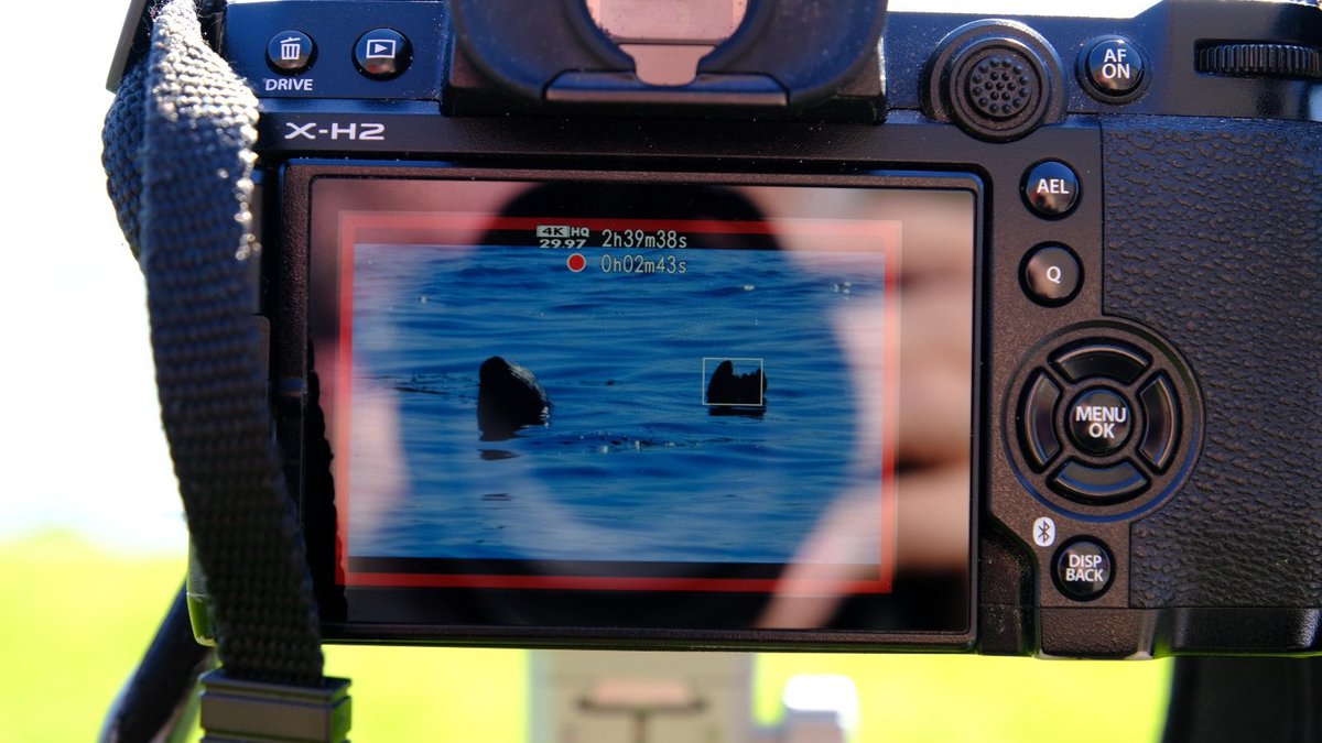 Kernow Life tweet media