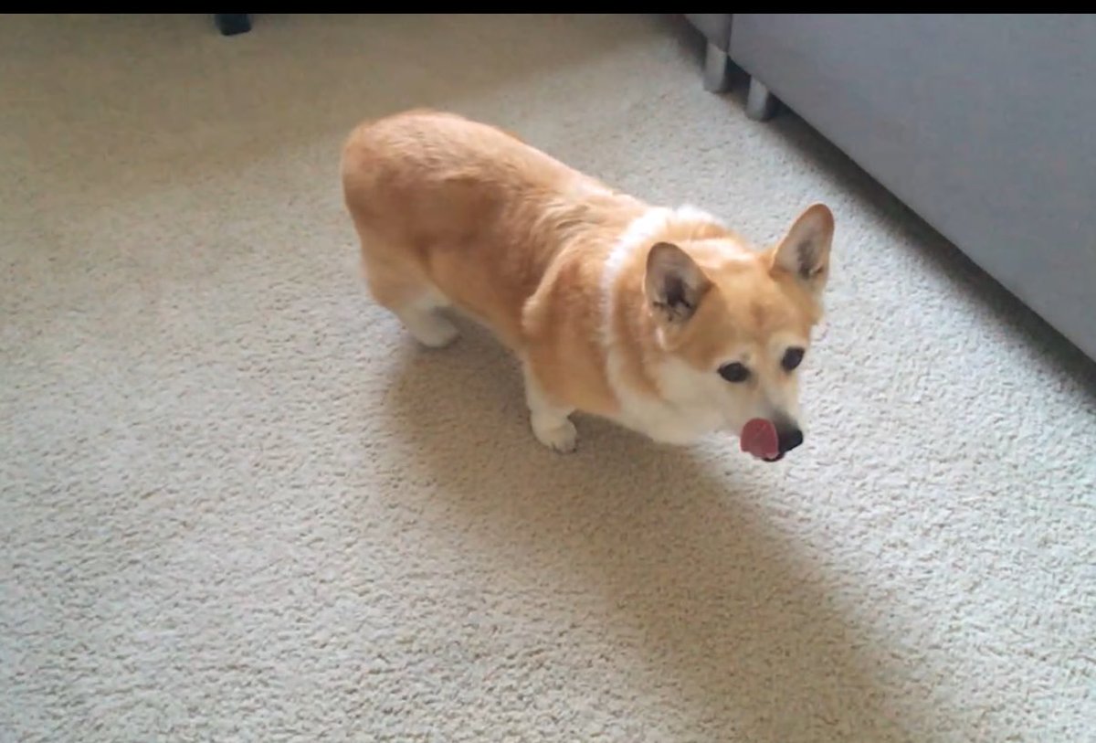 캡틴 일기 tweet media