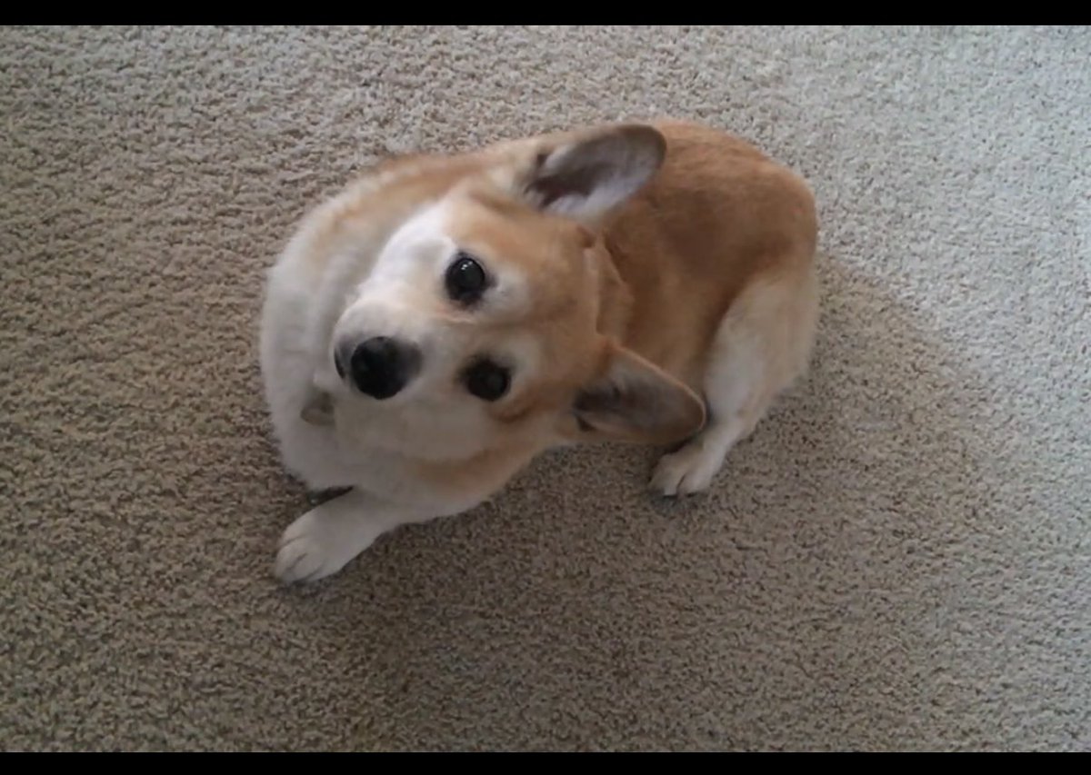 캡틴 일기 tweet media