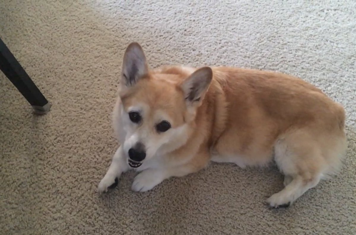 캡틴 일기 tweet media