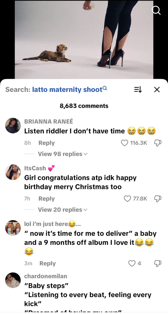 Pressbardi👠 tweet media