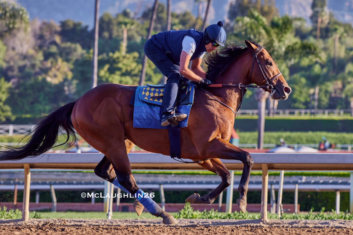 J McLaughlin Safford tweet media