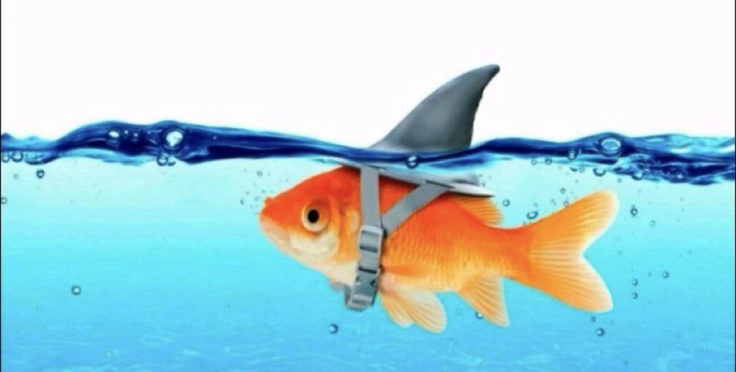 Toilet Paper USA tweet media