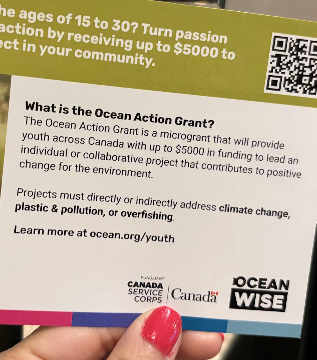 deepa 🏴‍☠️ tweet media