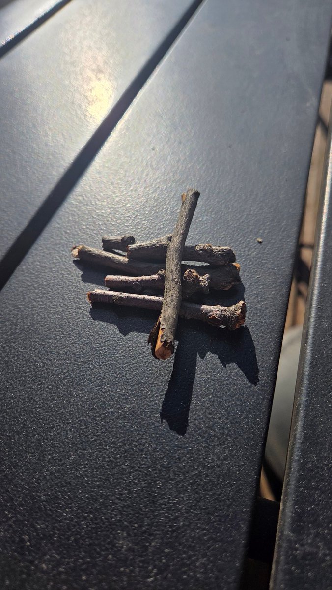 Still Dizzy tweet media