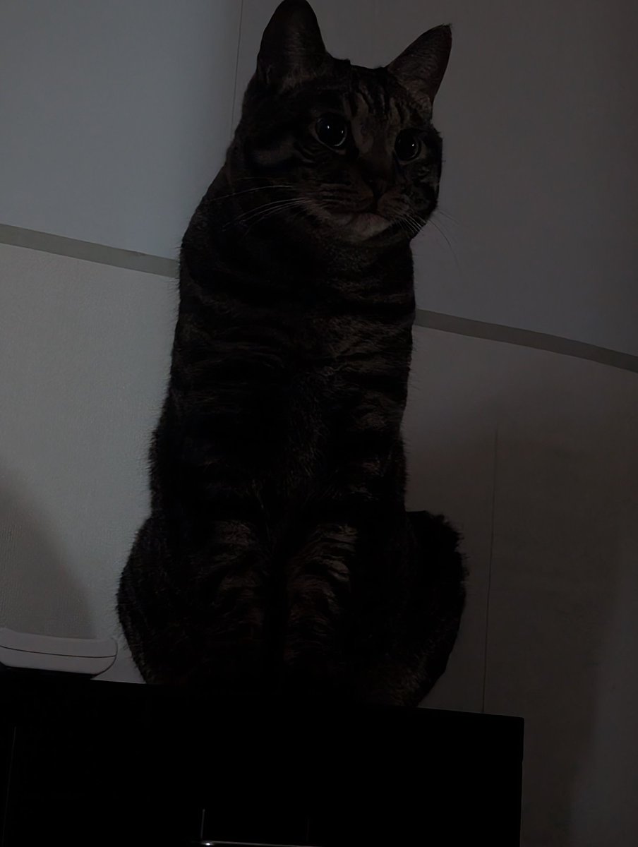 りーぱー tweet media