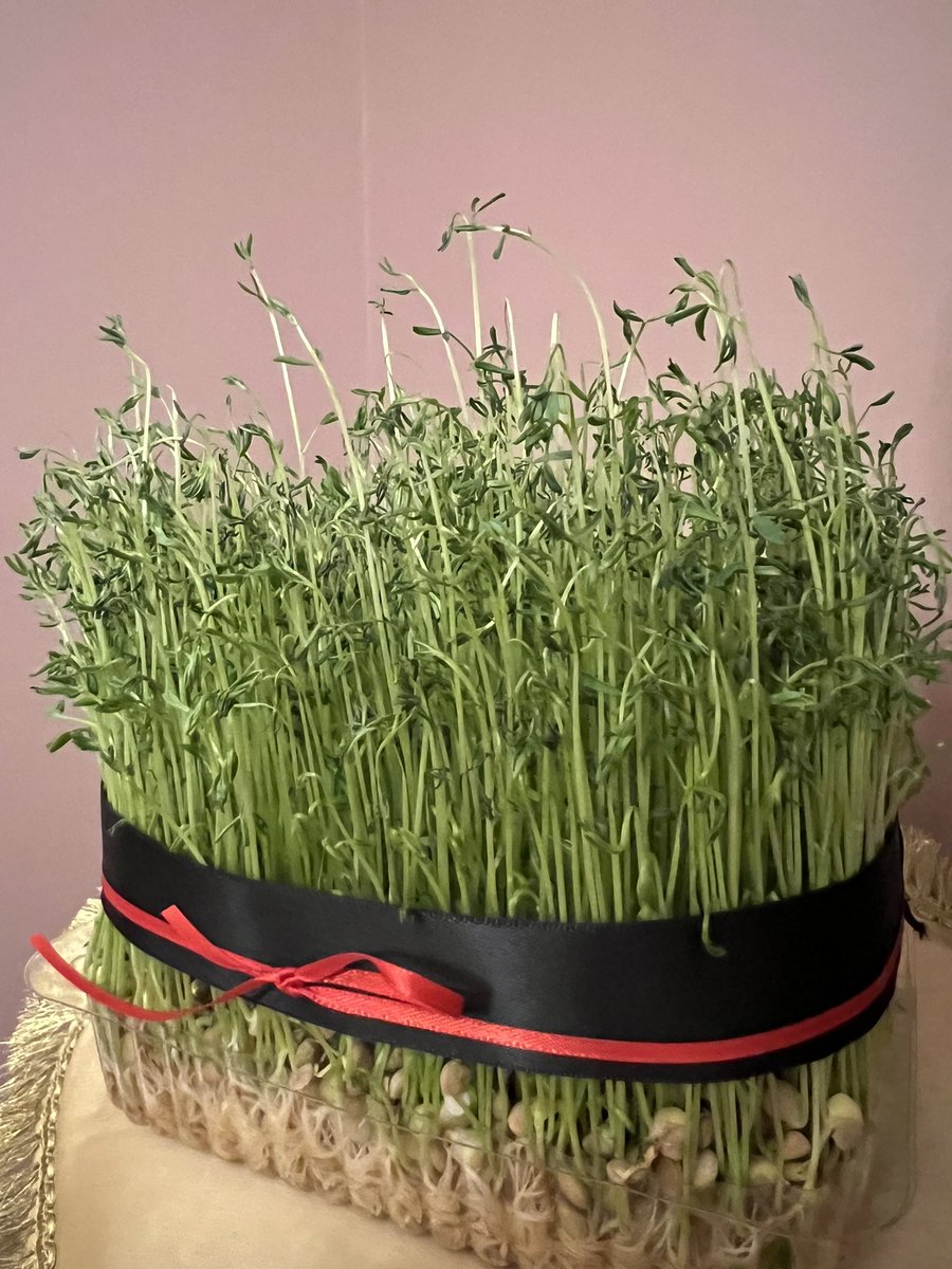 Dr. Vida Abedi, PhD tweet media