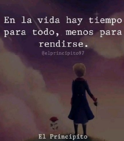 Jacinta Camila🌻 🇲🇽 💕ojos negros piel Canela. tweet media