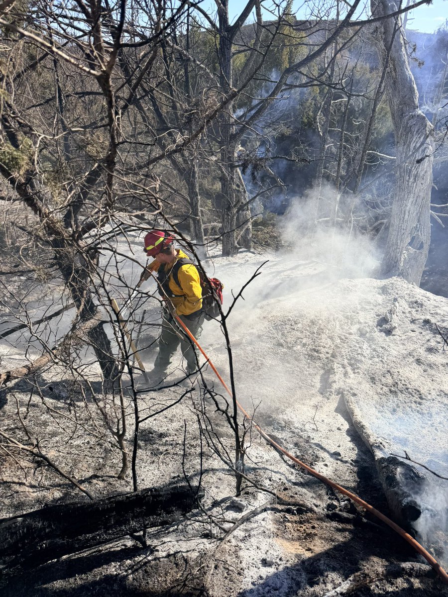 Texas Division of Emergency Management tweet media