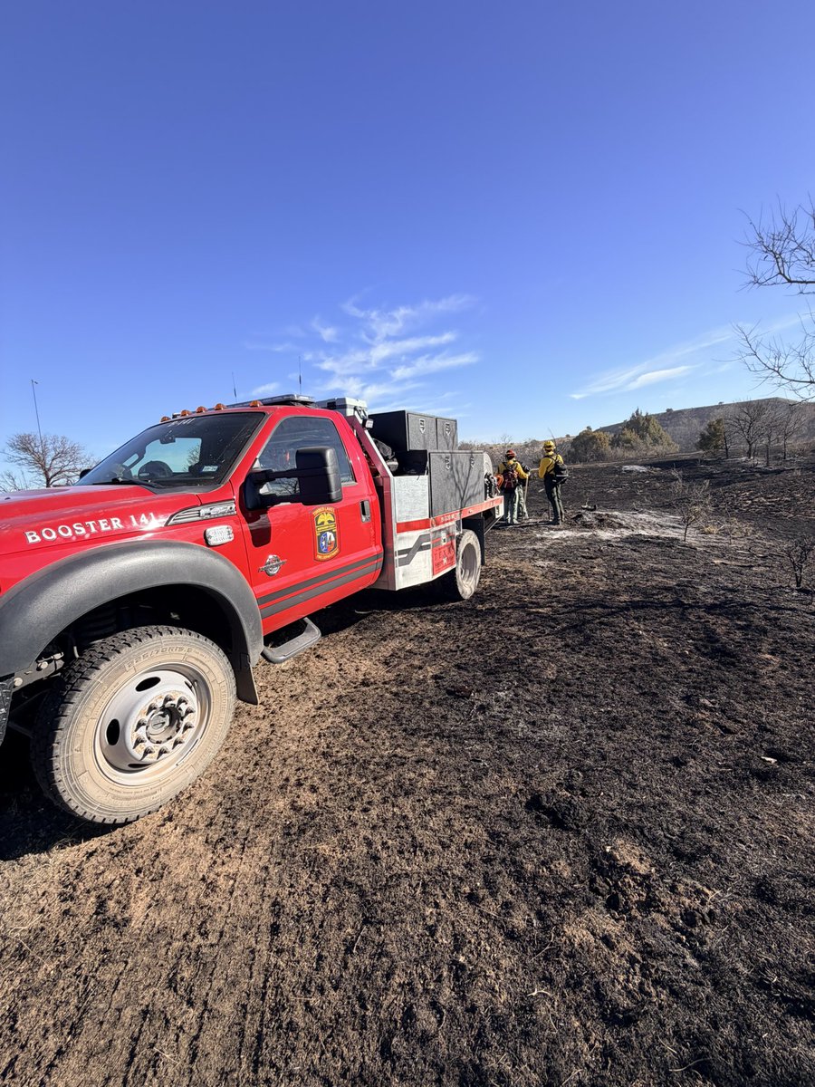 Texas Division of Emergency Management tweet media