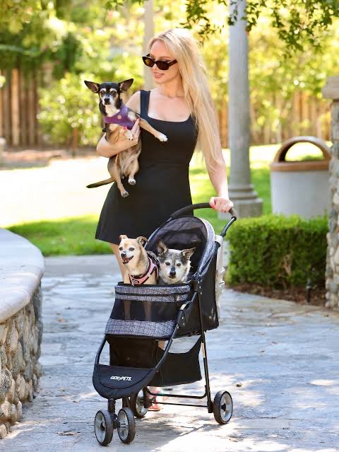 Dustin Burnham tweet media