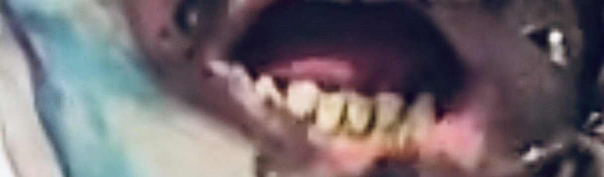 Stimulated Cynic, DMD, Esquire The 2nd tweet media