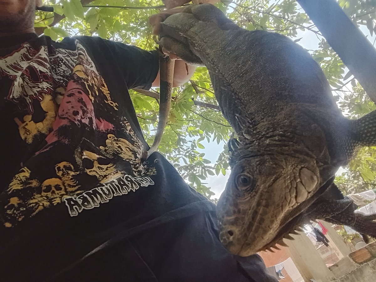 Brutal666metal. tweet media