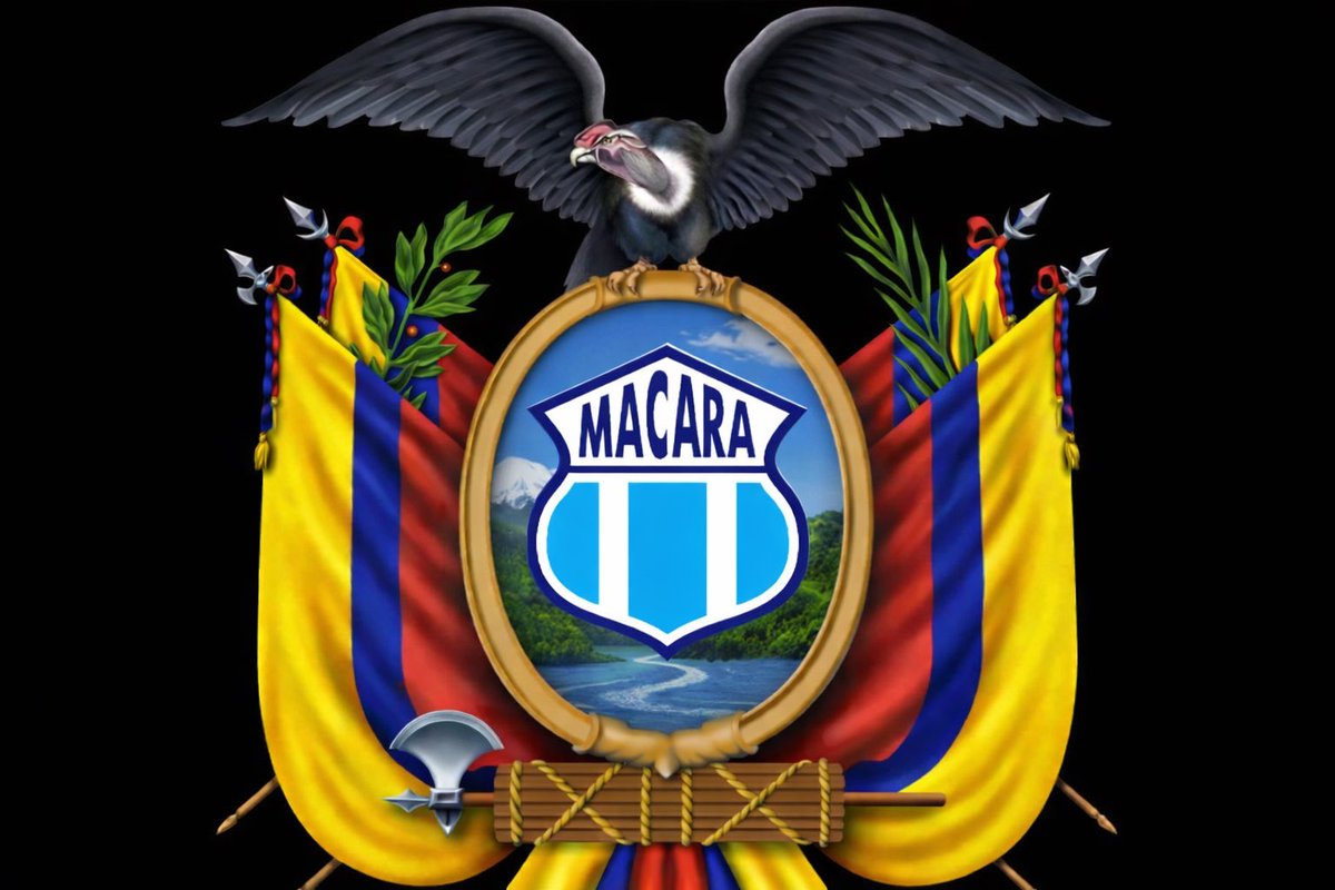 Marioco LL94 tweet media