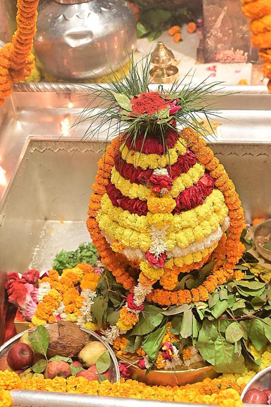 Organiser Weekly tweet media