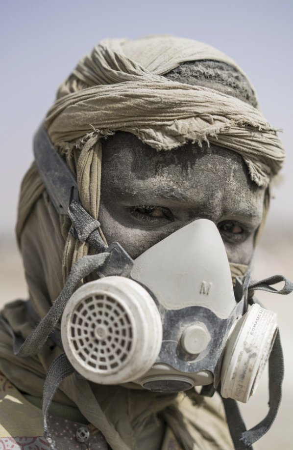 Paul Novosad tweet media