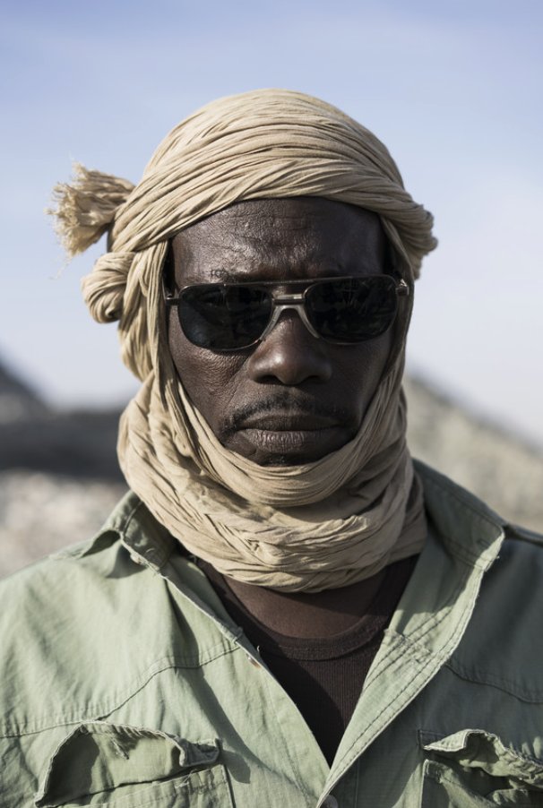 Paul Novosad tweet media