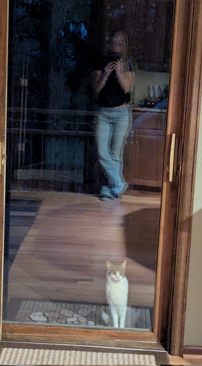 Forest Mommy🌲🗡💪🏹🌲🌲 tweet media