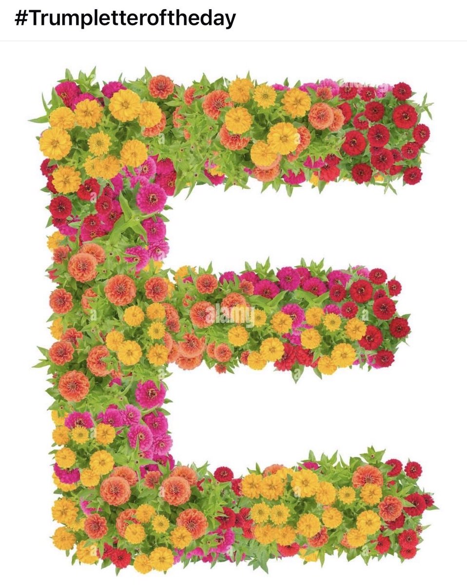 JessicaUSAF tweet media