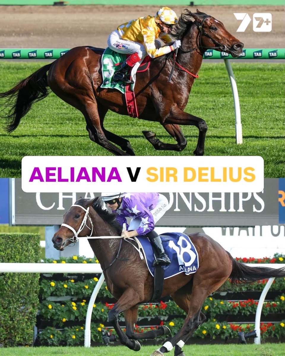 7HorseRacing 🐎 tweet media