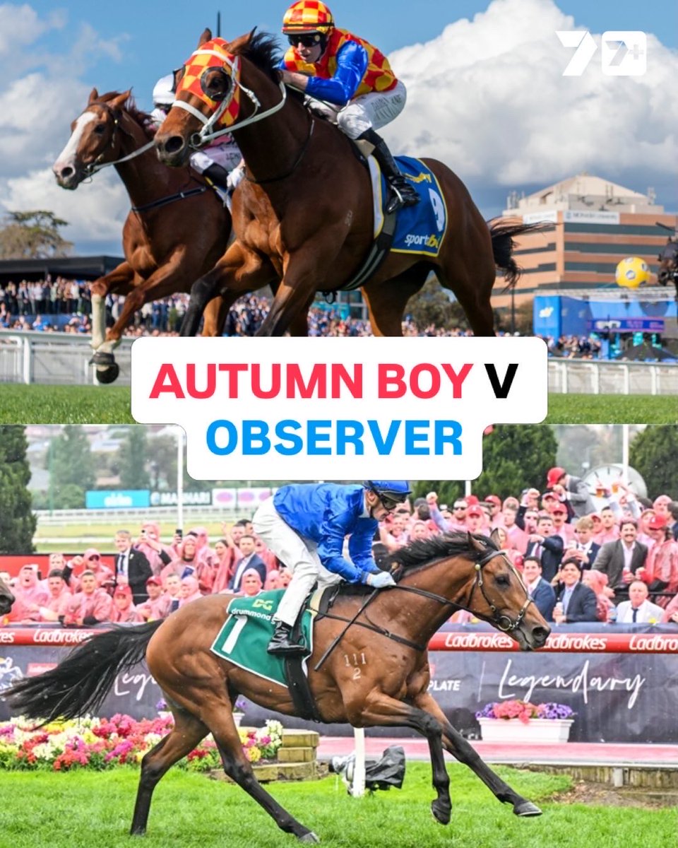 7HorseRacing 🐎 tweet media